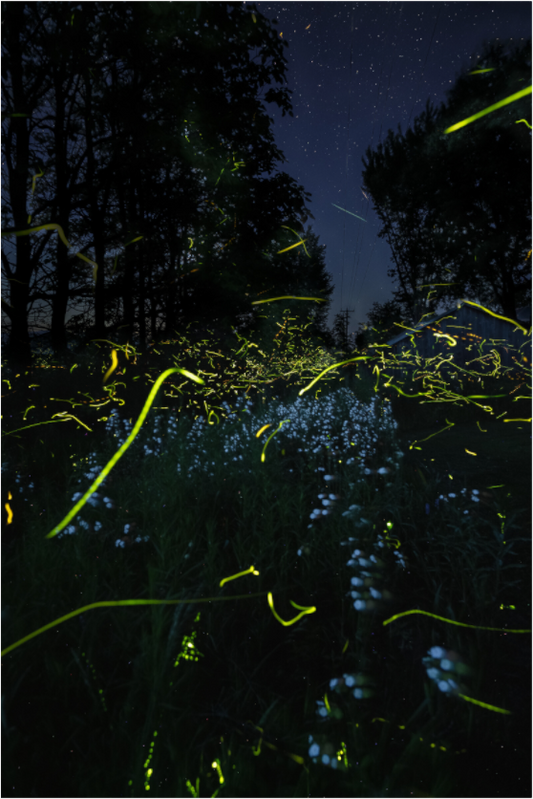 NightMagic01
